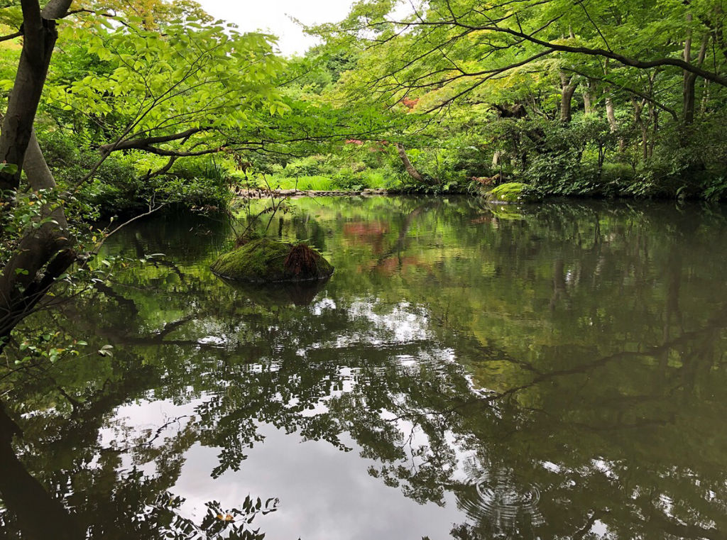 『根津美術館』　　絶対行きたい《フォトリップ》