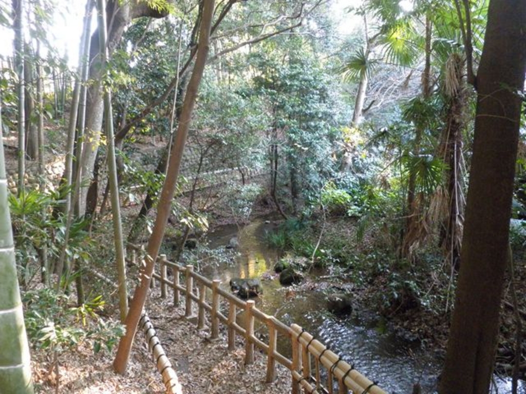 『竹林公園』　　絶対行きたい《フォトリップ》